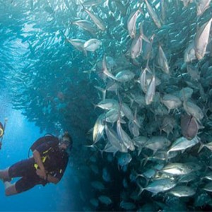 jumeriah-vittaveli-maldives-honeymoon-diving