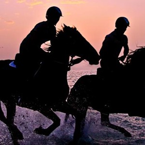 luxury-honeymoon-abu-dhabi-anantara-desert-islans-resort-and-spa-horse-riding-beach