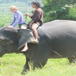 Thailand Honeymoon Packages The Sarojin Khao Lak Elephant Riding