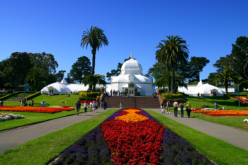 san-francisco-conservatory-of-flowers-blog1