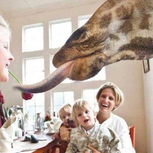 family-experiences-giraffe-manor-luxury-kenyan-honeymoon-packages