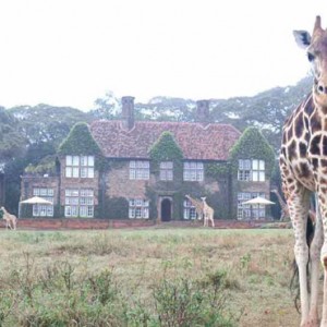 giraffe-giraffe-manor-luxury-kenyan-honeymoon-packages