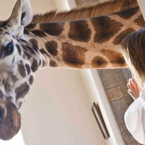 giraffe-with-child-giraffe-manor-luxury-kenyan-honeymoon-packages