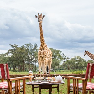 afternoon-tea-2-giraffe-manor-luxury-kenyan-honeymoon-packages