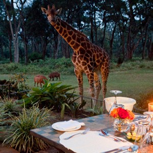 candlelit-dinner-giraffe-manor-luxury-kenyan-honeymoon-packages