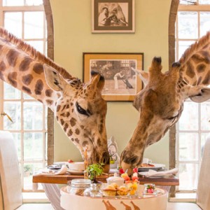 giraffe-dining-giraffe-manor-luxury-kenyan-honeymoon-packages