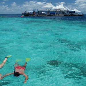 Beach Club Hamilton Islands - Australia Honeymoon Packages - snorkeling