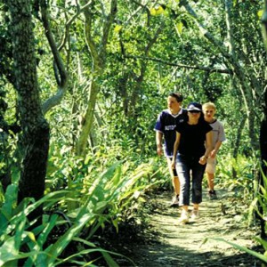 Daydream Island Resort & Spa - Australia Honeymoon Packages - bushwalking