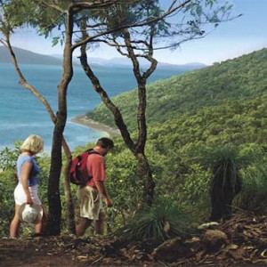 reef-view-hotel-australia-honeymoon-packages-walking-through-the-forest