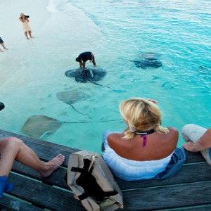 Reethi Beach Resort - Maldives Honeymoon Packages - Manta ray feeding