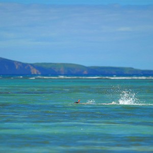 Canonnier Beachcomber Golf Resort and Spa - Mauritius Luxury Honeymoon Packages - snorkeling