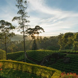 Ceylon Tea Trails - Sri Lanka Honeymoon Packages - Views from Norwood Bungalow