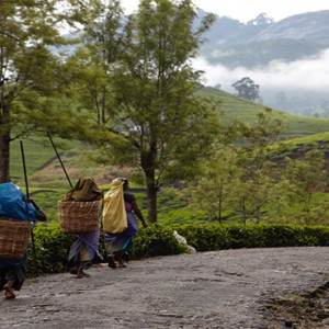 Ceylon Tea Trails - Sri Lanka Honeymoon Packages - tea pickers