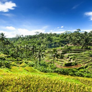 Four Points by Sheraton Bali - Bali Honeymoon Packages - things to do bali