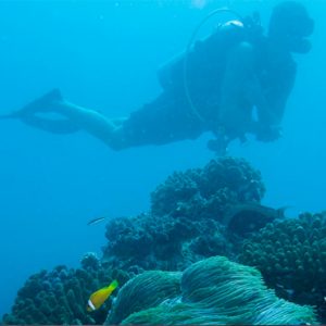 Maldives Honeymoon Packages Gili Lankanfushi Scuba Diving1