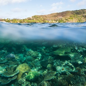 reef - Kokomo Island resort - Luxury Fiji honeymoons