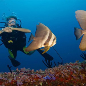 Hideaway Beach Resort and Spa - Luxury Maldives honeymoon packages - scuba diving