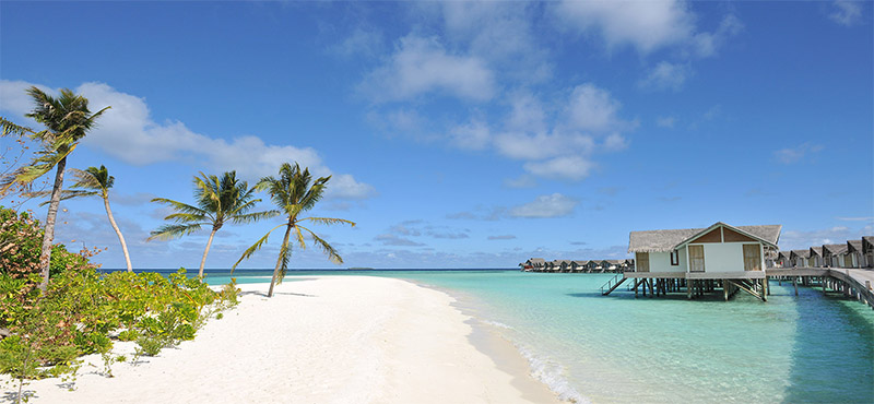 Loama Resort at Maamigili | Maldives Honeymoon | Honeymoon Dreams