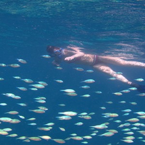 Nika Island Resort and Spa - Luxury Maldives Honeymoon Packages - snorkeling