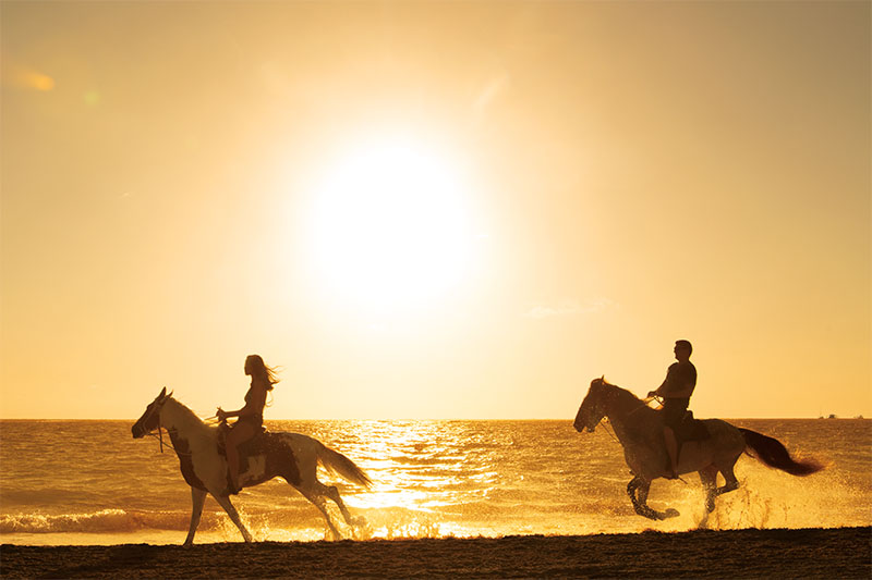 riveria maya blog - romantic horseback riding