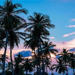 Shangri-La’s Hambantota Resort and Spa - Luxury Sri Lanka Honeymoon Packages - resort