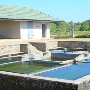 Sri Lanka Honeymoon Packages Centauria Wild Madunagala Hot Springs