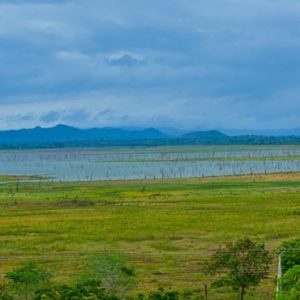 Sri Lanka Honeymoon Packages Centauria Wild National Park