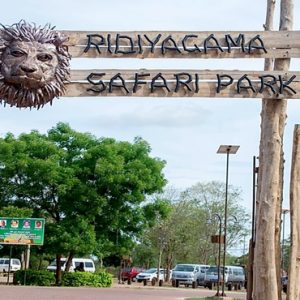 Sri Lanka Honeymoon Packages Centauria Wild Ridiyagama Safari