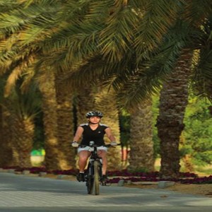 Dubai Honeymoon Packages Melia Desert Palm Dubai palm bike riding