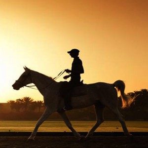 Dubai Honeymoon Packages Melia Desert Palm Dubai palm horse riding