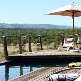 South Africa And Mauritius Multi Centre Honeymoon Packages Puba Private Game Reserve