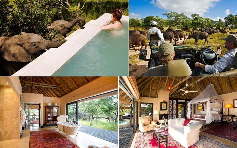 Royal Malewane - top luxury safari lodges in africa - luxury safari honeymoons