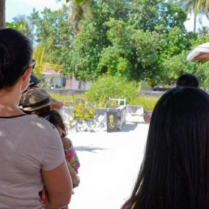 Bandos Maldives Maldives Honeymoon Packages Island Hopping