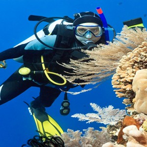 Cocoon Maldives - Luxury Maldives Honeymoon Packages - scuba diving