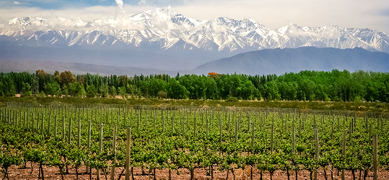 mendoza - Romantic destinations in South America - luxury south america honeymoon packages