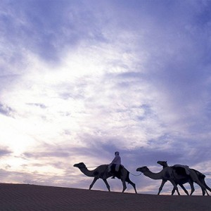 Al Maha Resort and Spa - Luxury Dubai Honeymoon Packages - camel riding