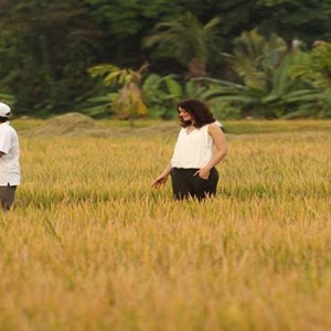Alaya Ubud - Luxury Bali Honeymoon Packages - walking through rice paddies