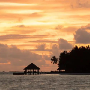 Dhawa Ihuru Maldives Maldives Honeymoon Packages Night Fishing