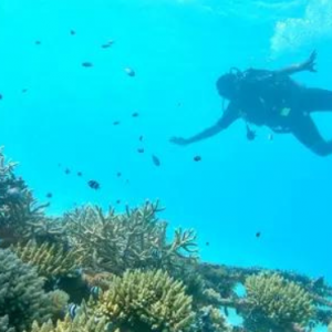 Dhawa Ihuru Maldives Maldives Honeymoon Packages Scubadiving