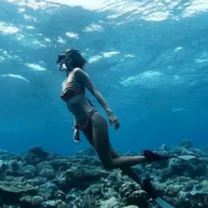 Dhawa Ihuru Maldives Maldives Honeymoon Packages Snorkelling