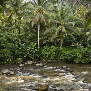 Four Seasons Bali at Sayan - Luxury Bali Honeymoon Packages - Ayung River