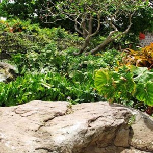 Golden Rock Inn - Luxury Nevis Honeymoon Packages - Garden1