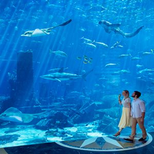 Interior Wall Aquarium Atlantis The Palm Dubai Dubai Honeymoons
