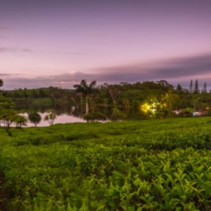 exterior 3 - Bubble Lodge Mauritius - Luxury Mauritius Honeymoon Packages