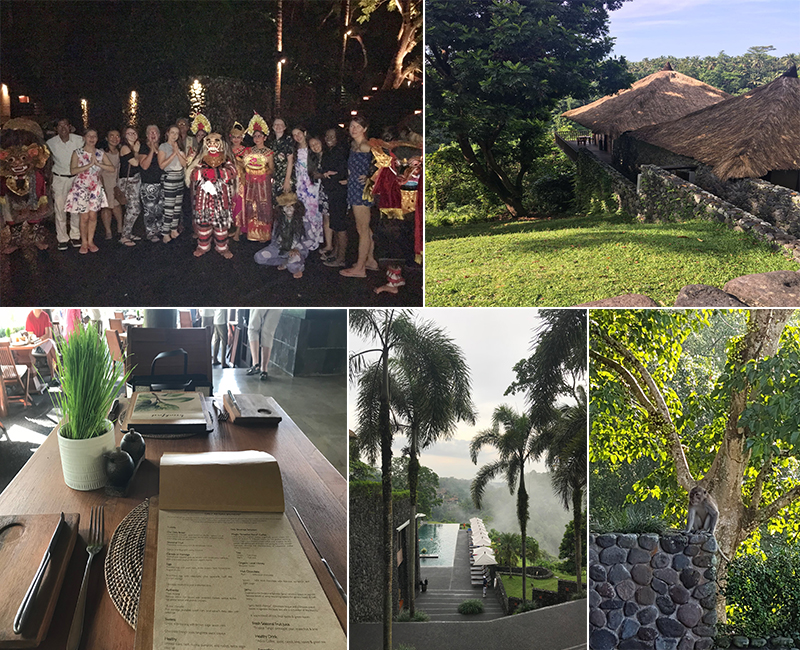 Abbies Bali Blog - alila ubud - location overview