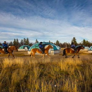 Kakslauttanen Arctic Resort - Luxury Finland Honeymoon Packages - horse riding