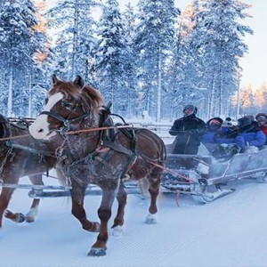 Kakslauttanen Arctic Resort - Luxury Finland Honeymoon Packages - horse sledge