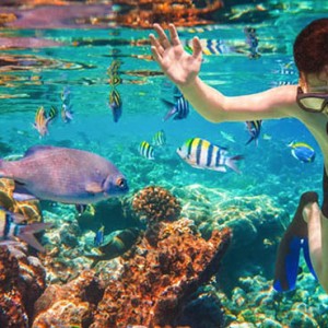 Luxury Mauritius Honeymoon Packages - Lux* Belle Mare - snorkeling