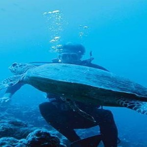 Constance Moofushi - Luxury Maldives Honeymoon Packages - Marine life