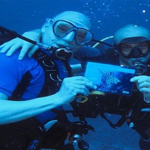 Diamonds Athuruga - Luxury Maldives Honeymoon Packages - diving